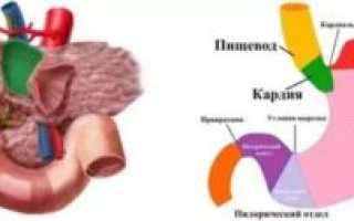 Тяжесть в пищеводе после еды