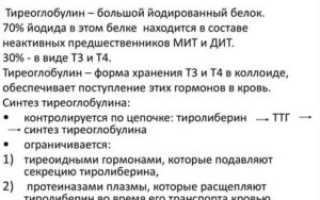 Тиреоглобулин повышен