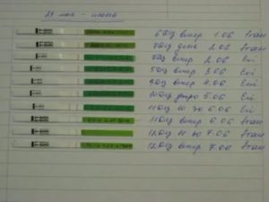 Тест на овуляцию расшифровка