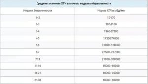 Низкий уровень хгч на 12 неделе беременности