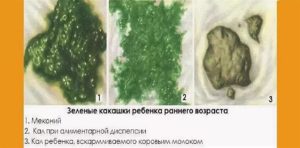 Темно-зелёный кал без других симптомов