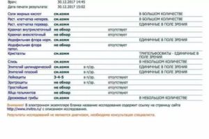 Лейкоциты единично в поле зрения (копрограмма)
