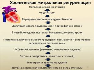 Недостаточность аортального клапана: фиброз створок, регургитация до 2-3 степени