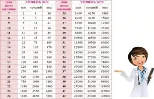 Как долго понижается гормон хгч после чистки?