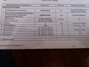 Расшифровка мазка из носа на лейкоформулу