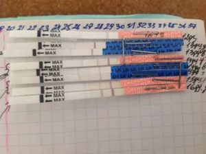 Тест на овуляцию расшифровка