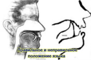 Положение языка во рту