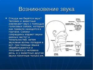 Звуки из горла