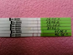 Тест на овуляцию расшифровка