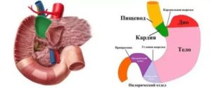 Тяжесть в пищеводе после еды