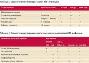 Расшифровка анализа, эпштейн барра, капсидный белок VCA, IgG
