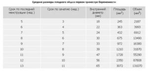 Рост плодного яйца