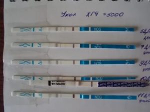 Укол хгч 5000