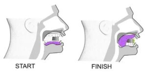 Положение языка во рту