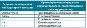 Анализ мочи, лейкоцитарная эстераза