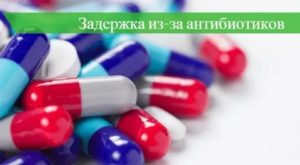 Может ли быть задержка из-за антибиотиков?