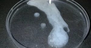 Нету спермы