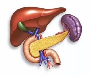 Увеличенная печень и поджелудочная железа