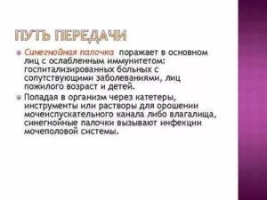 Синегнойная палочка заразна или нет