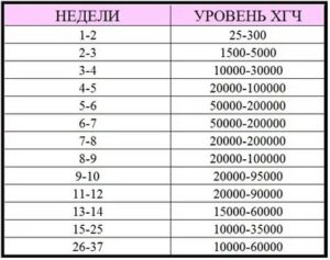 Низкий уровень хгч на 12 неделе беременности