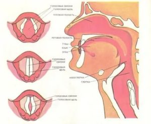 Звуки из горла