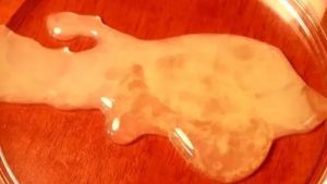 Нету спермы