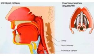 Звуки из горла